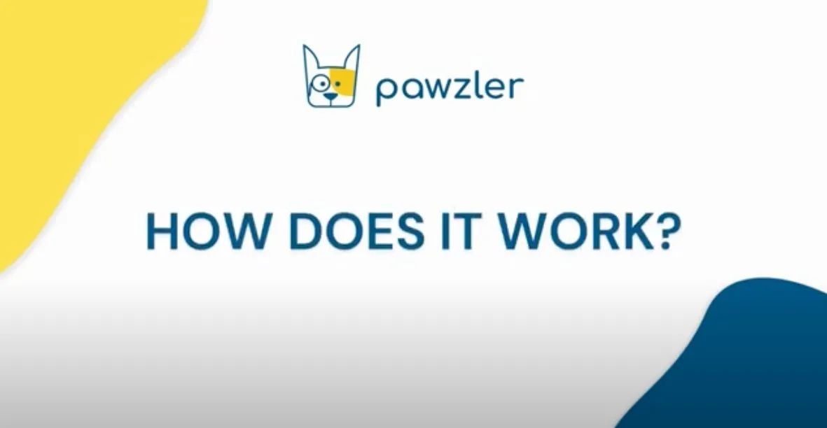 Pawzler Innovative Modular Dog Puzzles (Zhu Without Base)